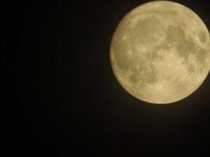 Rikke Oberlin Flarup Metropolis Walking Copenhagen