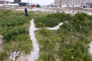 Camilla Berner Metropolis Walking Copenhagen