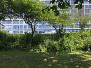 Nathalie Mossin Metropolis Walking Copenhagen