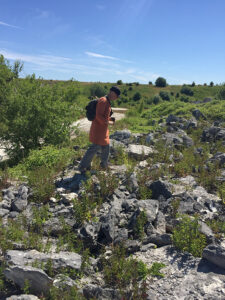 Camilla Nørgård Metropolis Walking Copenhagen