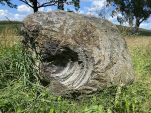 Georg Jagunov Metropolis Walking Copenhagen