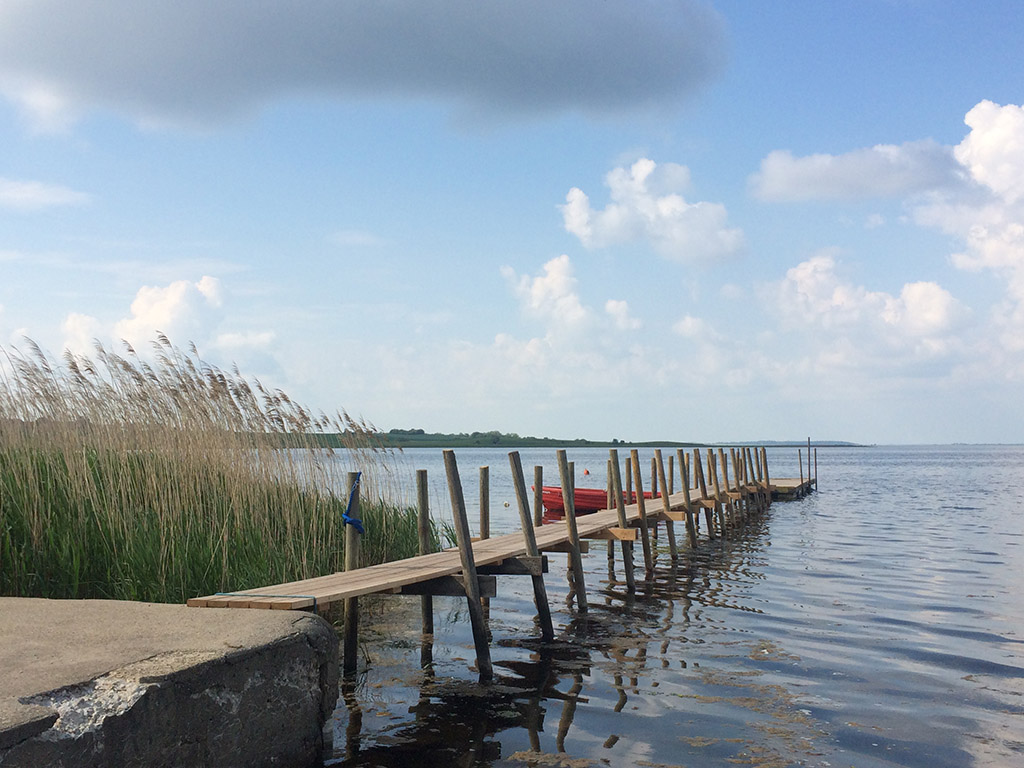 Roskilde Talking Landscapes