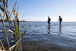Walking Landscapes Aarhus Lil Lacy