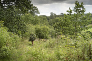 Randers Talking Landscapes