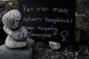 Talking Landscapes Bornholm