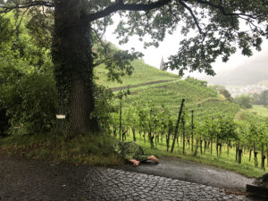 Moni Wespi 2 - Metropolis Residency 2024