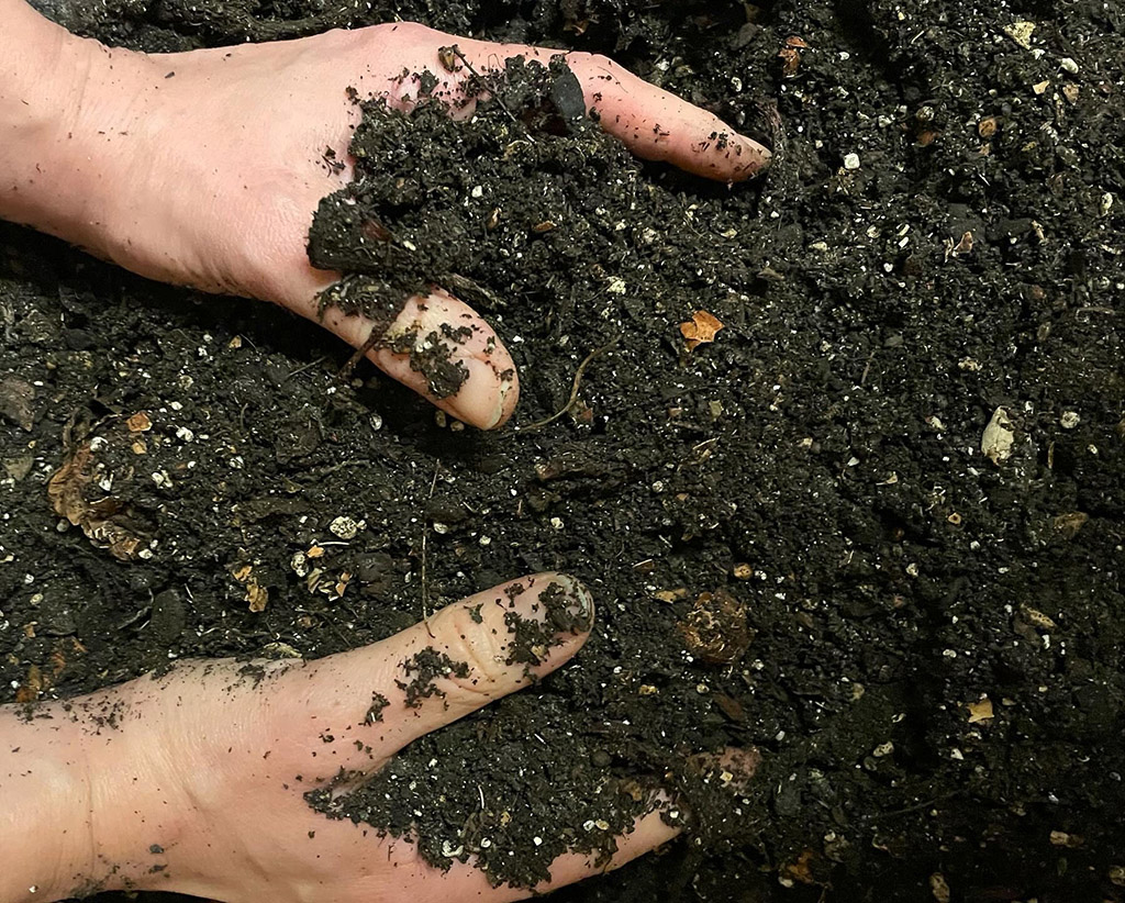 Silje Erøy Sollien - Metropolis Residency 2024