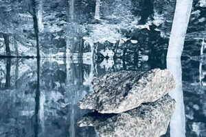 Sara Gebran The Forests Trial Metropolis 2024