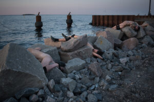 Habitat Metropolis 2024