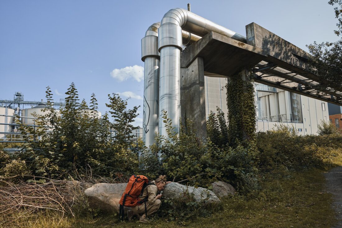 Katrine Faber Performing Landscapes