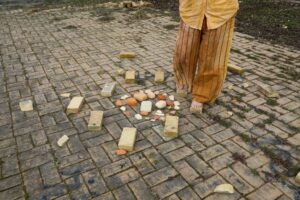 Astrid Randrup Performing Landscapes