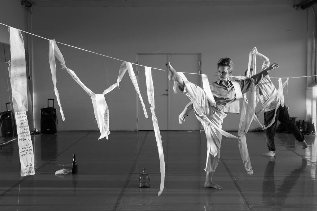 Julie Schmidt Performing Landscapes