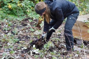 Silje Erøy Sollien - Performing Landscapes