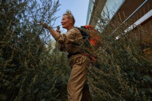 Katrine Faber Performing Landscapes
