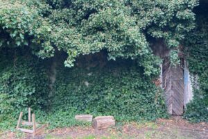 Silje Erøy Sollien - Performing Landscapes