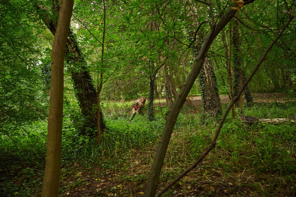 Rewilding Roots