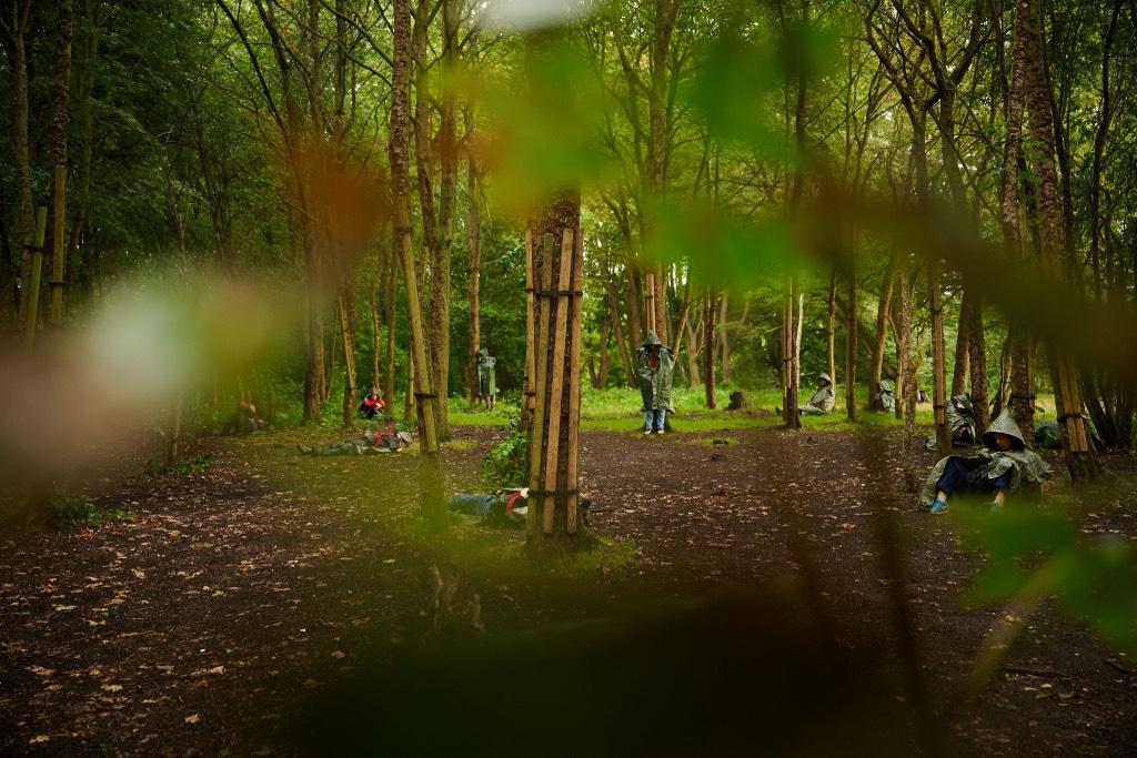 Rewilding Roots