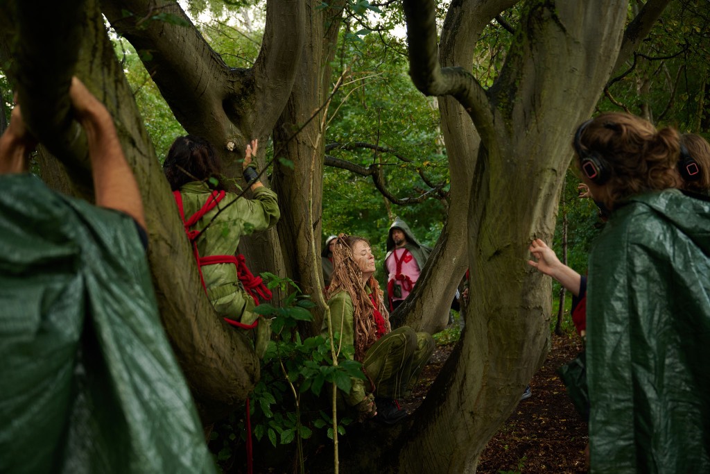 Rewilding Roots