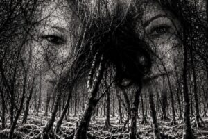 Rewilding Roots